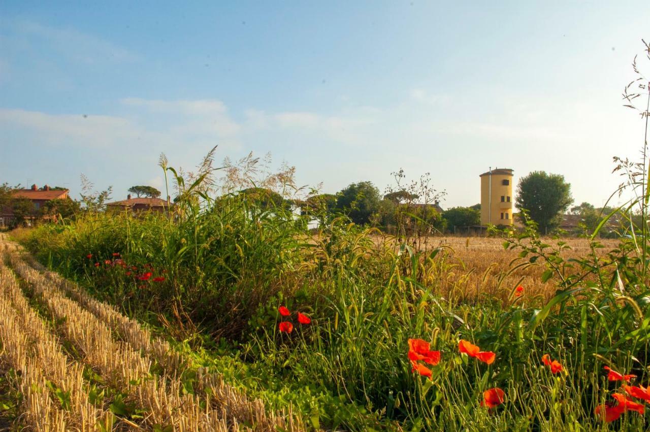 Il Silos Maccarese