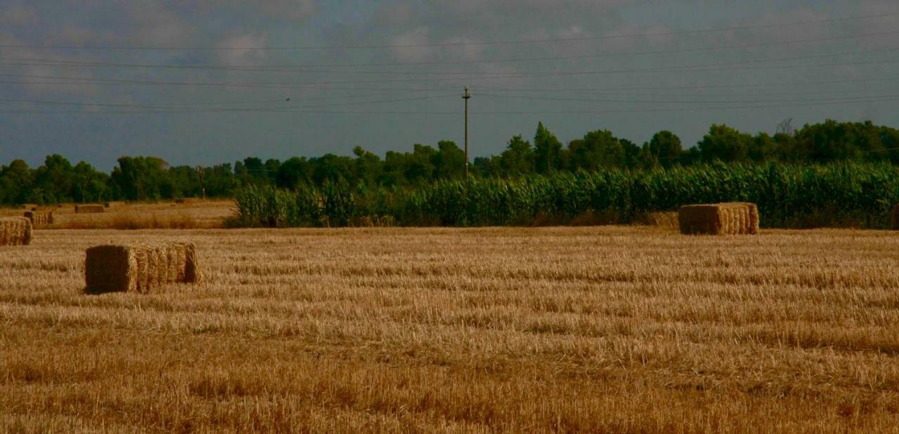 Il Silos